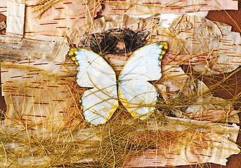 Image showing Abstract composition of butterflies, birch bark and straw.