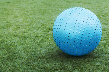 Image showing Blue ball on green grass.