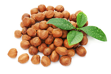 Image showing Heap of fresh shelled hazelnuts with green leaves isolated on wh
