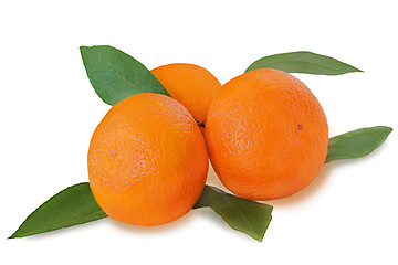 Image showing Fresh tangerines with green leaves isolated on white background.