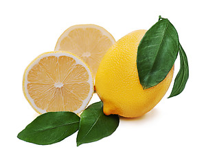 Image showing fresh lemon citrus with cut and green leaves isolated on white b