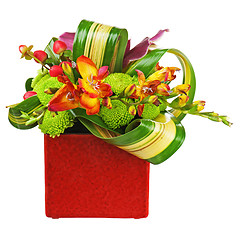 Image showing Bouquet from orchids in red vase isolated on white background. 