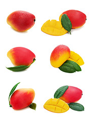 Image showing Set of fresh mango fruits isolated on white background.