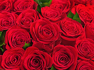 Image showing Colorful flower bouquet from red roses.