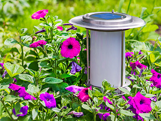 Image showing Solar-powered garden lamp on flower background.