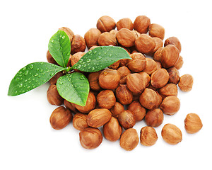 Image showing Heap of fresh shelled hazelnuts with green leaves isolated on wh