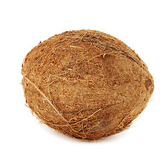 Image showing Ripe coconut isolated on white with shadow.