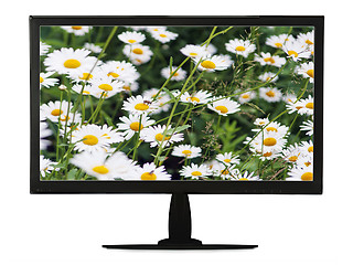 Image showing Black lcd monitor with flowering meadow isolated on white backgr