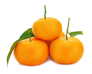Image showing Fresh ripe tangerines with green leaves isolated on white backgr