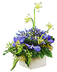 Image showing Bouquet from orchids and Arabian Star flower (Ornithogalum arabi