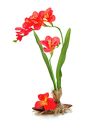 Image showing Still life from artificial freziya flowers.