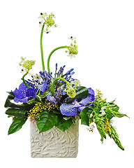 Image showing Bouquet from orchids and Arabian Star flower (Ornithogalum arabi