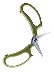 Image showing Garden secateurs isolated on a white background.