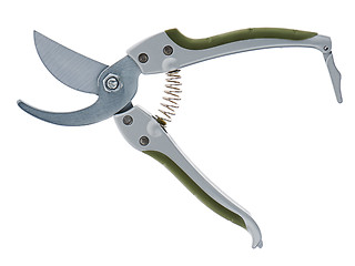 Image showing Garden pruner isolated on a white background.