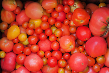 Image showing Red and yellow tomatoes background.
