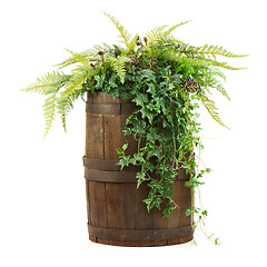 Image showing Composition of artificial flowers in old wooden barrel isolated 