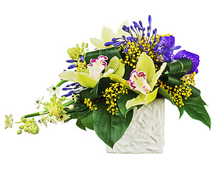 Image showing Bouquet from orchids and Arabian Star flower (Ornithogalum arabi