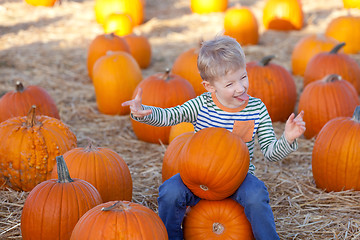 Image showing kid at pumpkin patch