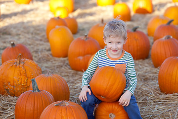 Image showing kid at pumpkin patch