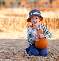 Image showing kid at pumpkin patch