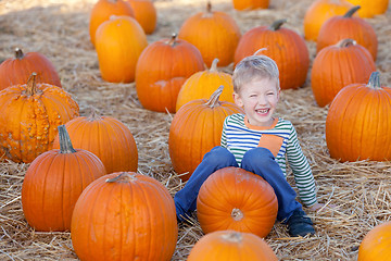 Image showing kid at pumpkin patch