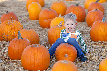 Image showing kid at pumpkin patch