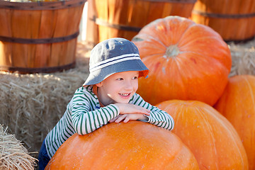 Image showing kid at pumpkin patch