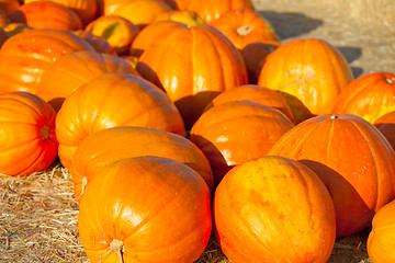 Image showing colorful pumpkins