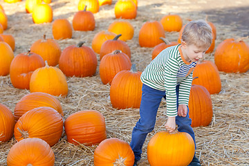 Image showing kid at pumpkin patch