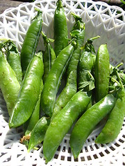 Image showing Fresh green pods of peas