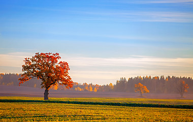 Image showing beautiful autumn landscape