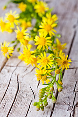 Image showing wild yellow flowers 