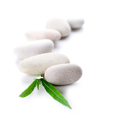 Image showing green leaf and stones 