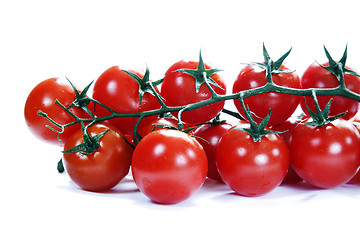 Image showing Vine Tomatoes