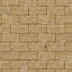 Image showing Seamless Tileable Texture of Coquina Wall.