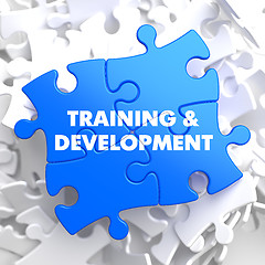 Image showing Training and Development. Educational Concept.