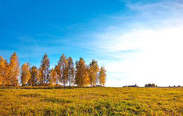 Image showing Autumn landscape