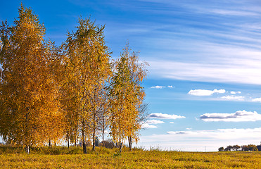 Image showing Autumn landscape