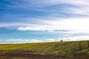 Image showing Landscape with young plants in the field 