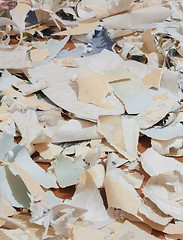 Image showing Paper Waste For Recycle 