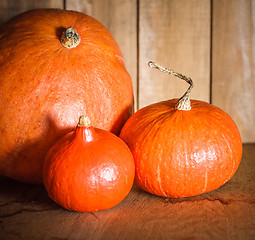 Image showing Pumpkins on grunge wooden backdrop background