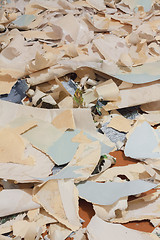 Image showing Paper Waste For Recycle 