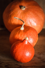 Image showing Pumpkins on grunge wooden backdrop background