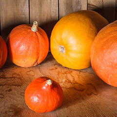 Image showing Pumpkins on grunge wooden backdrop background