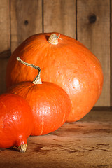 Image showing Pumpkins on grunge wooden backdrop background