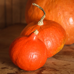 Image showing Pumpkins on grunge wooden backdrop background