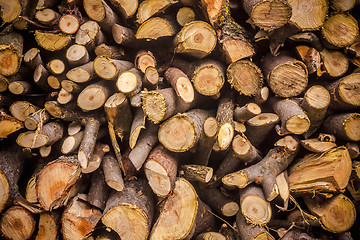 Image showing Pile Of Wood Logs