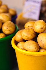 Image showing Potatoes at local market