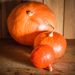 Image showing Pumpkins on grunge wooden backdrop background