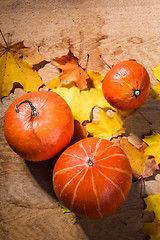 Image showing Pumpkins on grunge wooden backdrop background